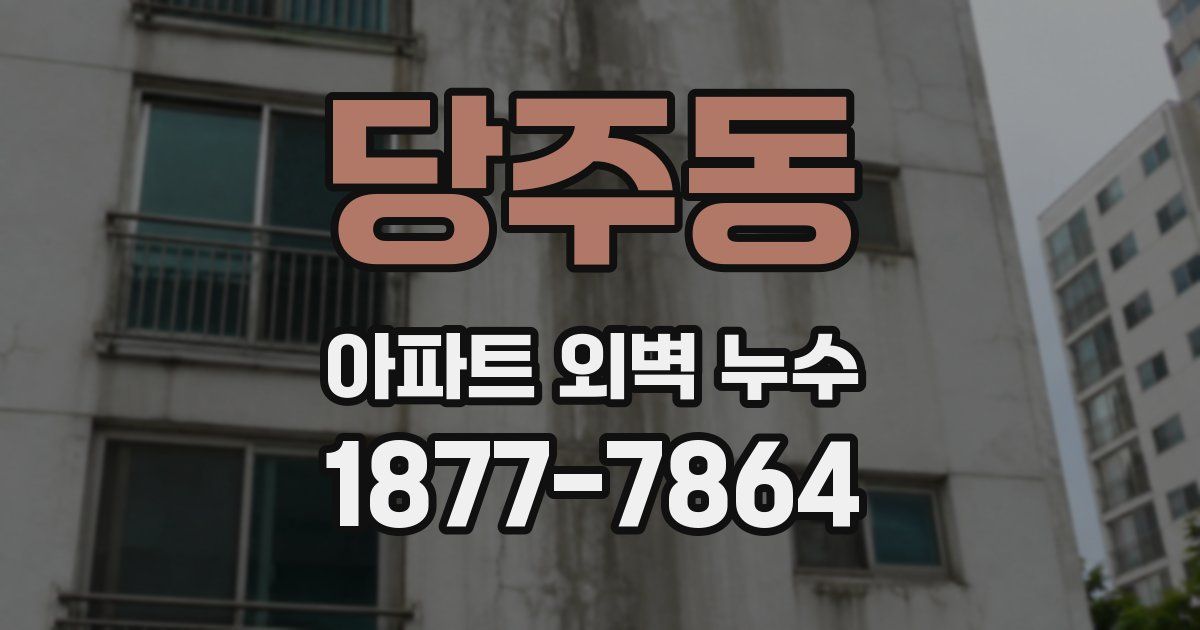당주동 아파트 외벽 누수