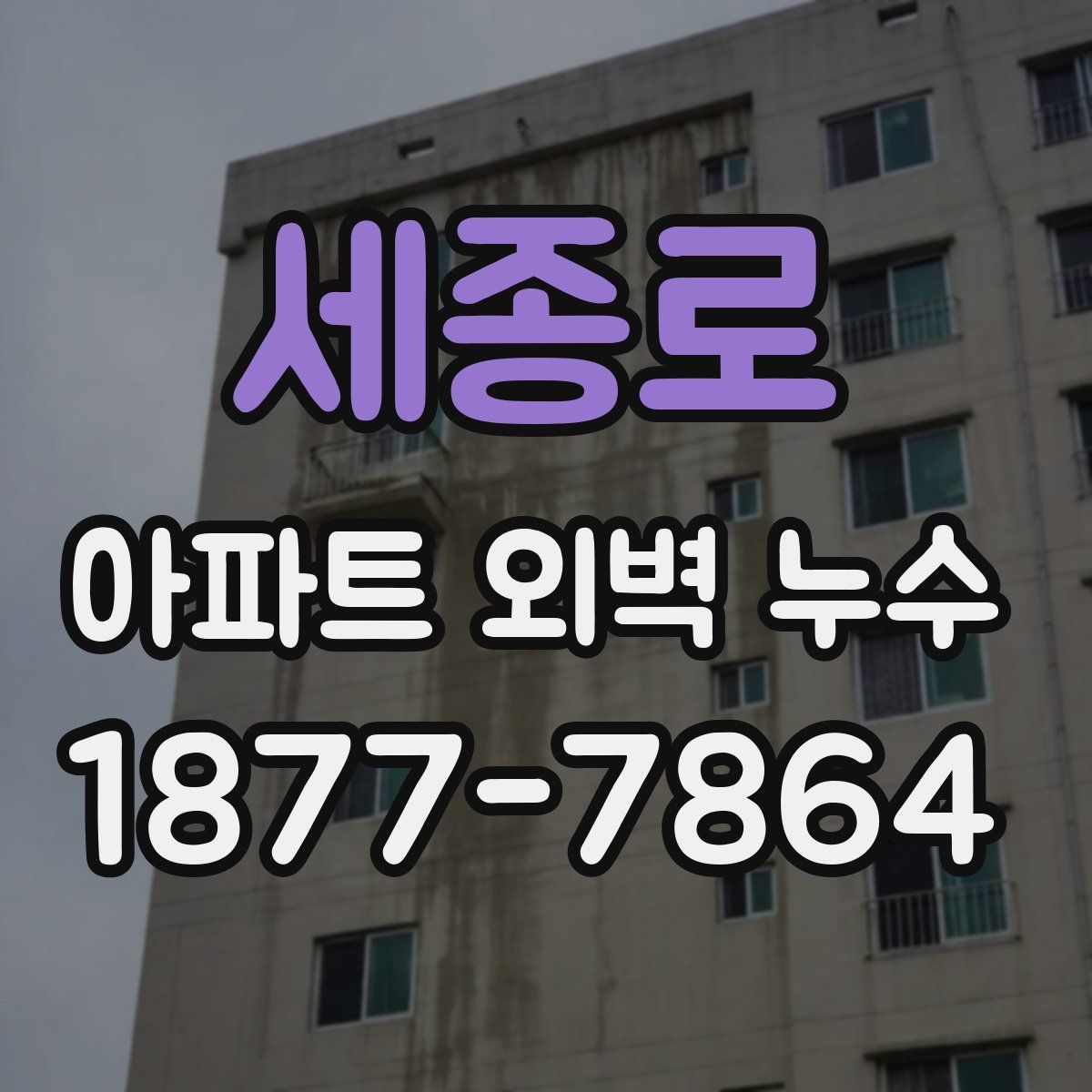 세종로 아파트 외벽 누수