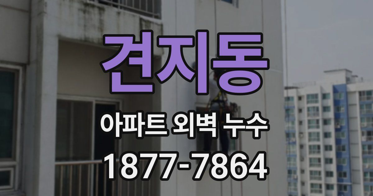 견지동 아파트 외벽 누수