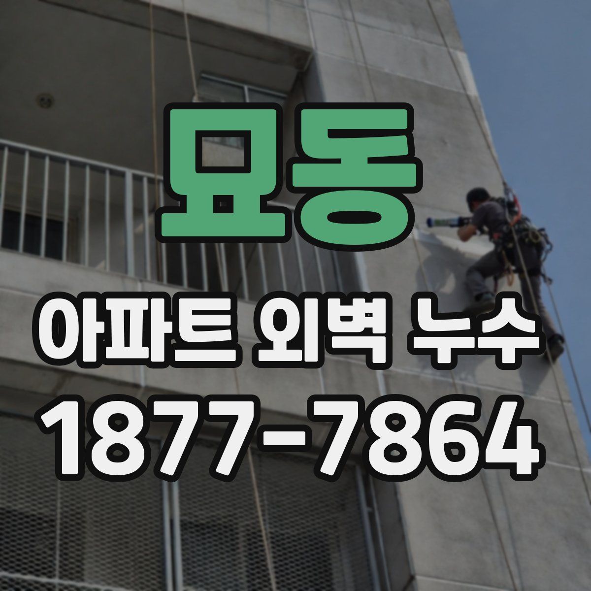 묘동 아파트 외벽 누수