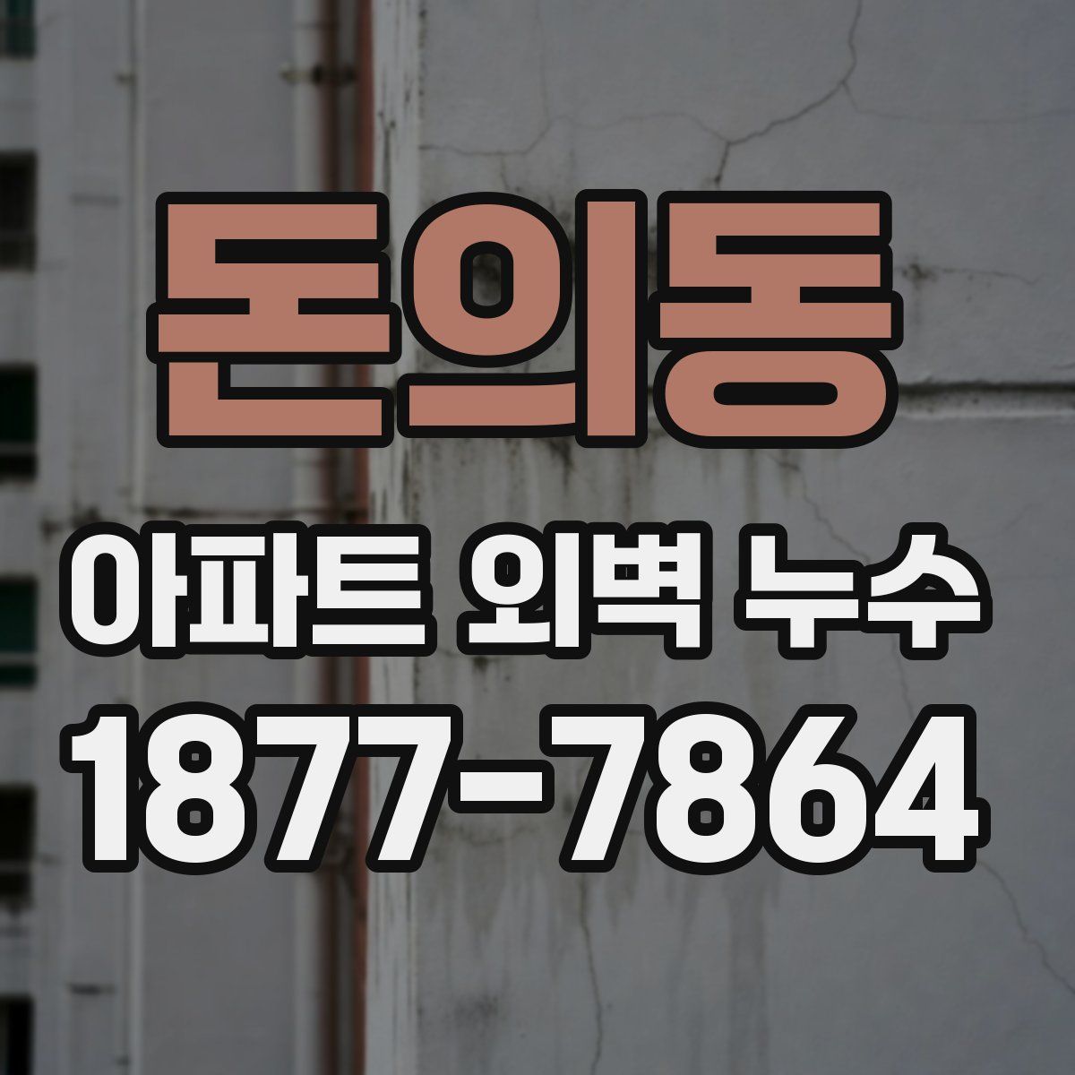 돈의동 아파트 외벽 누수