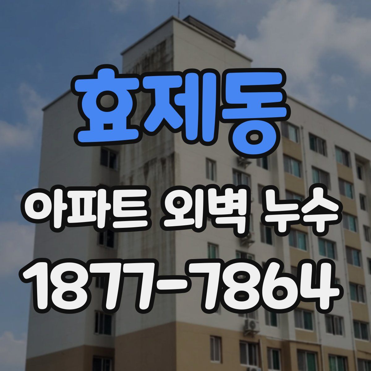 효제동 아파트 외벽 누수