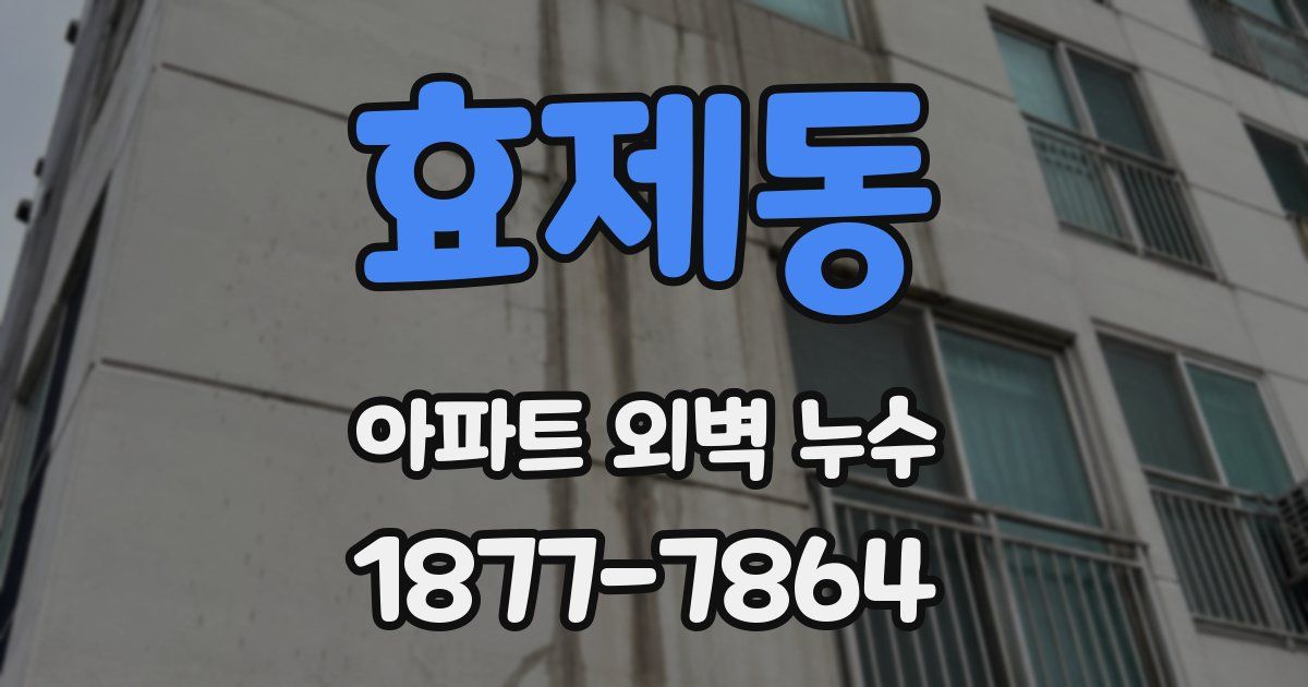 효제동 아파트 외벽 누수