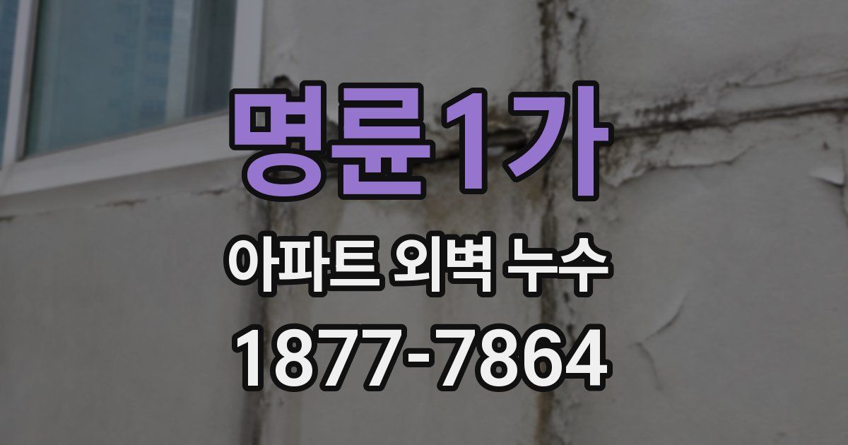 명륜1가 아파트 외벽 누수