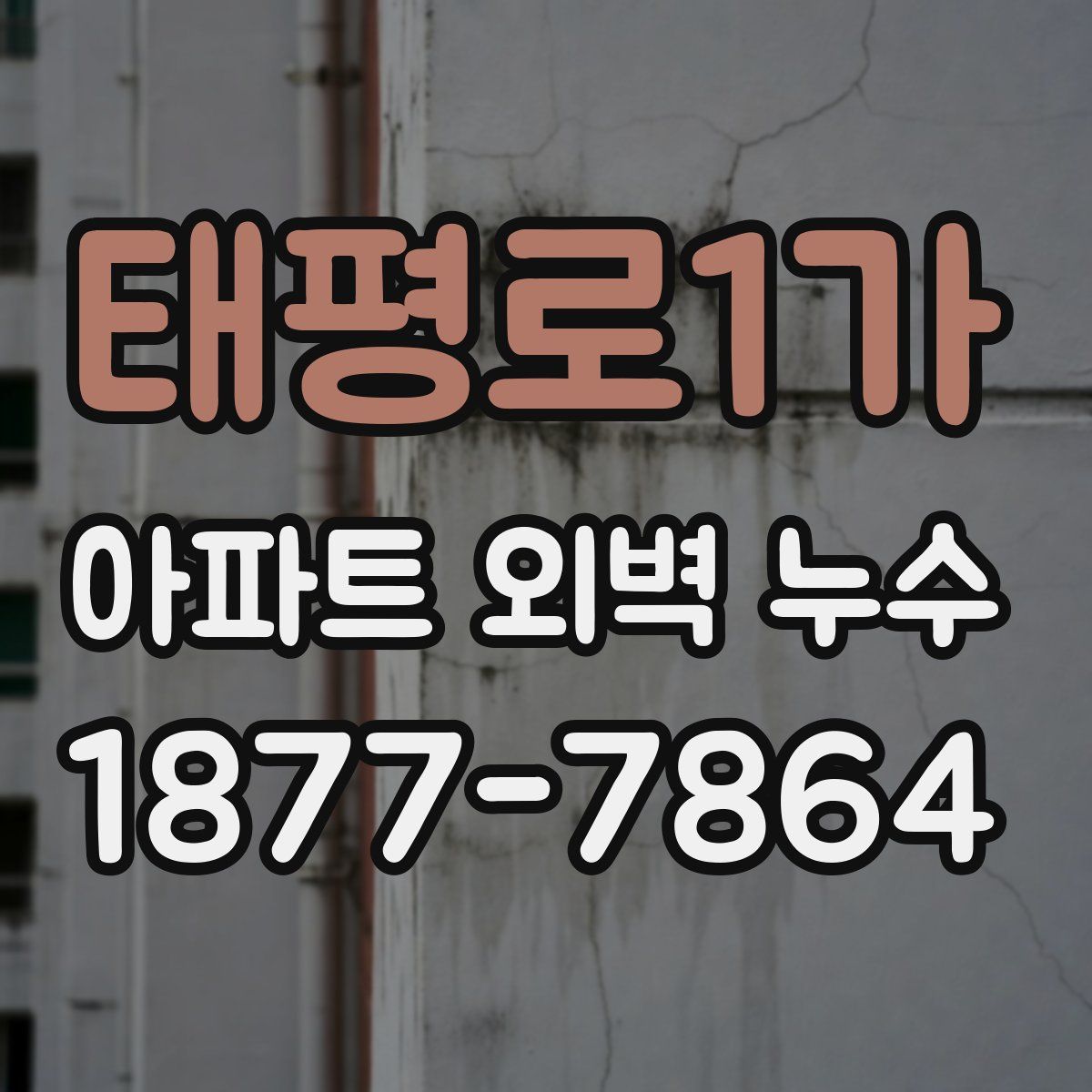 태평로1가 아파트 외벽 누수