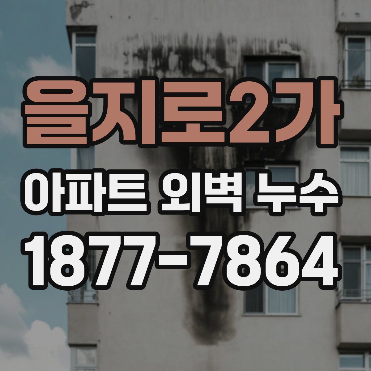 을지로2가 아파트 외벽 누수