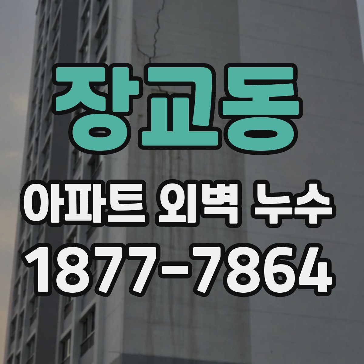 장교동 아파트 외벽 누수
