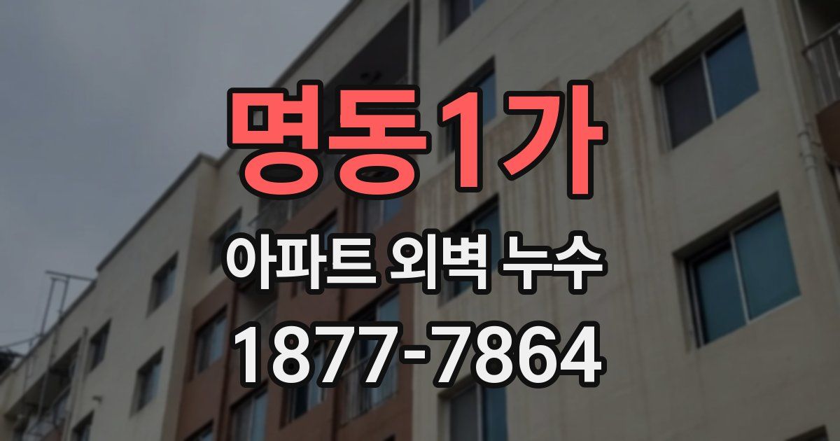 명동1가 아파트 외벽 누수