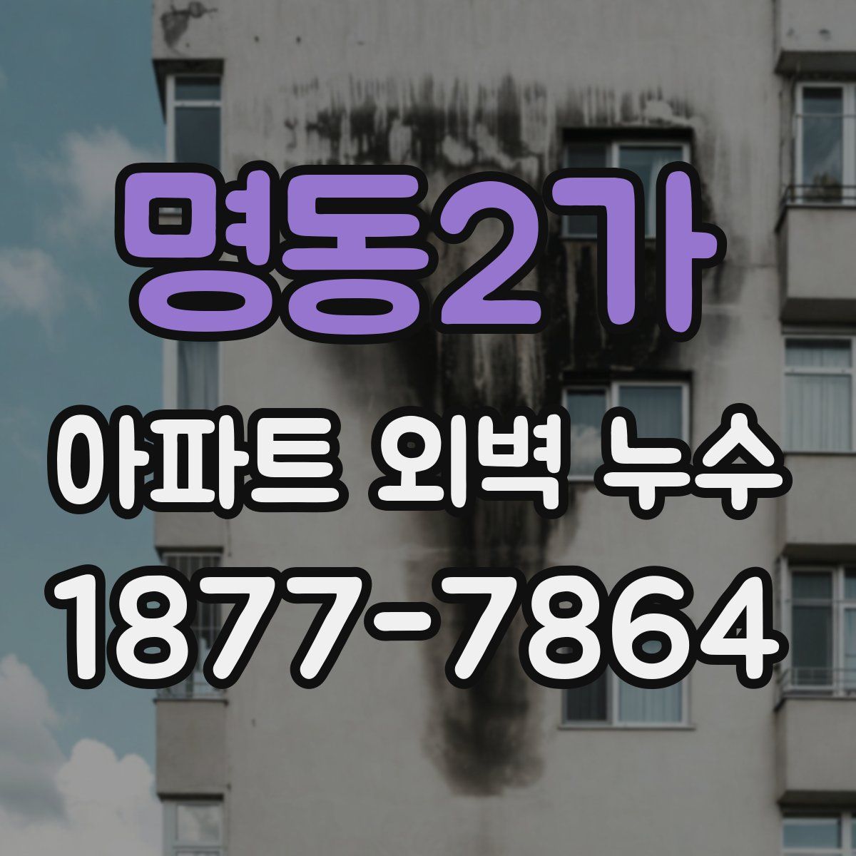 명동2가 아파트 외벽 누수