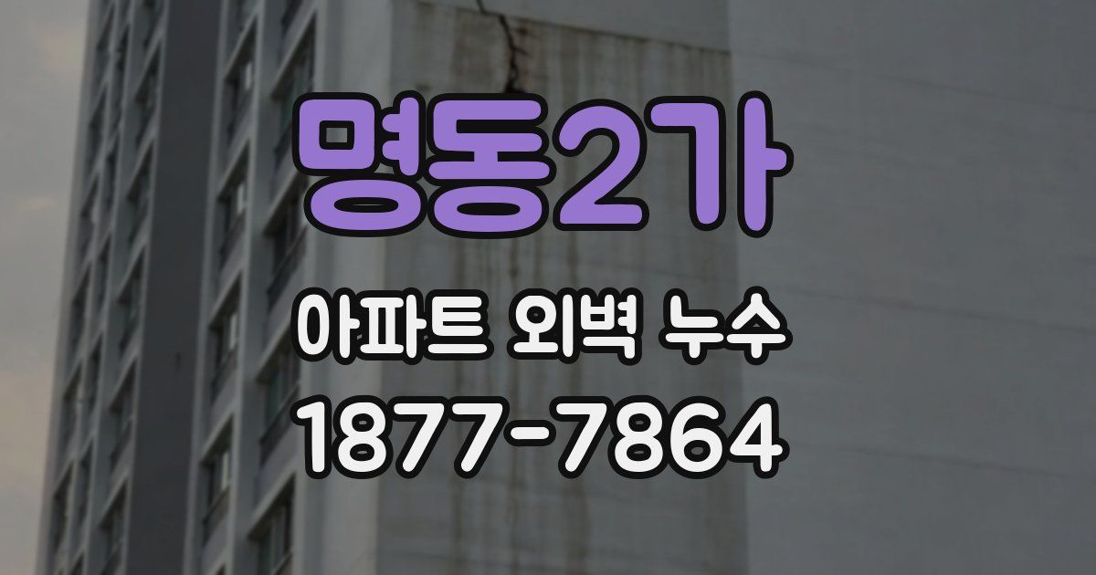명동2가 아파트 외벽 누수