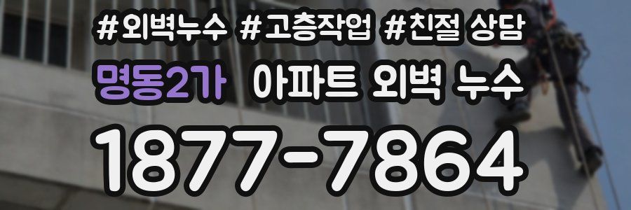 명동2가 아파트 외벽 누수