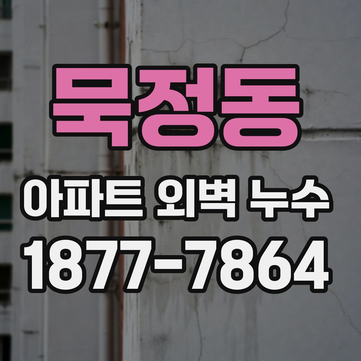 묵정동 아파트 외벽 누수