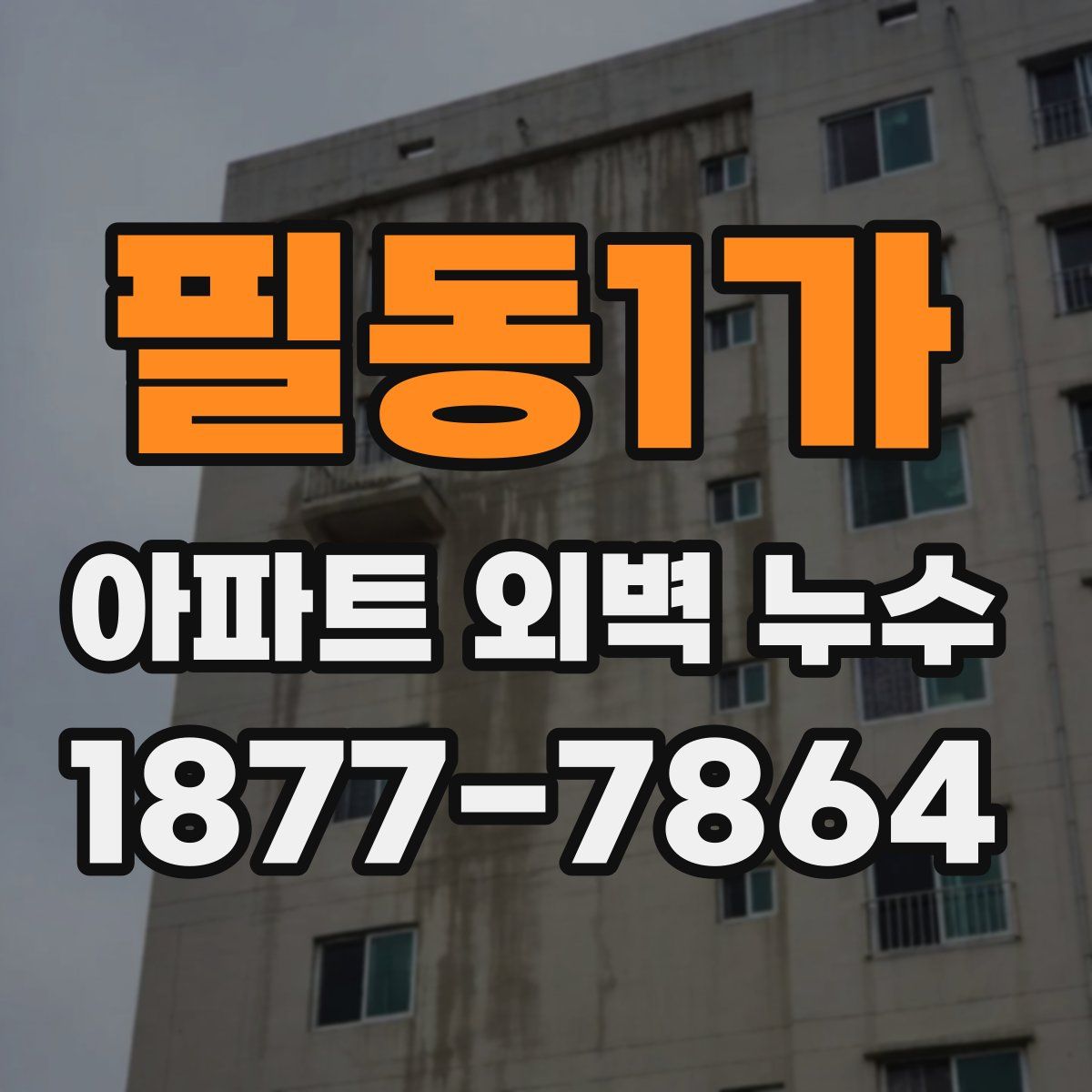 필동1가 아파트 외벽 누수