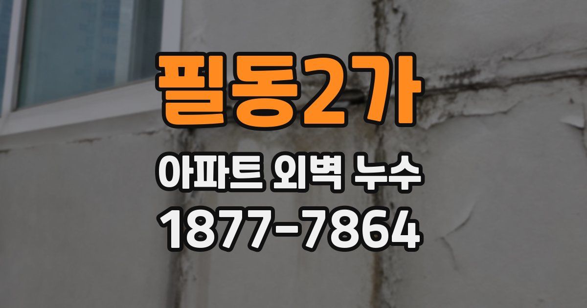 필동2가 아파트 외벽 누수