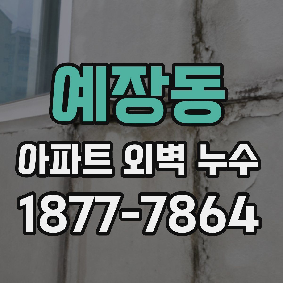 예장동 아파트 외벽 누수