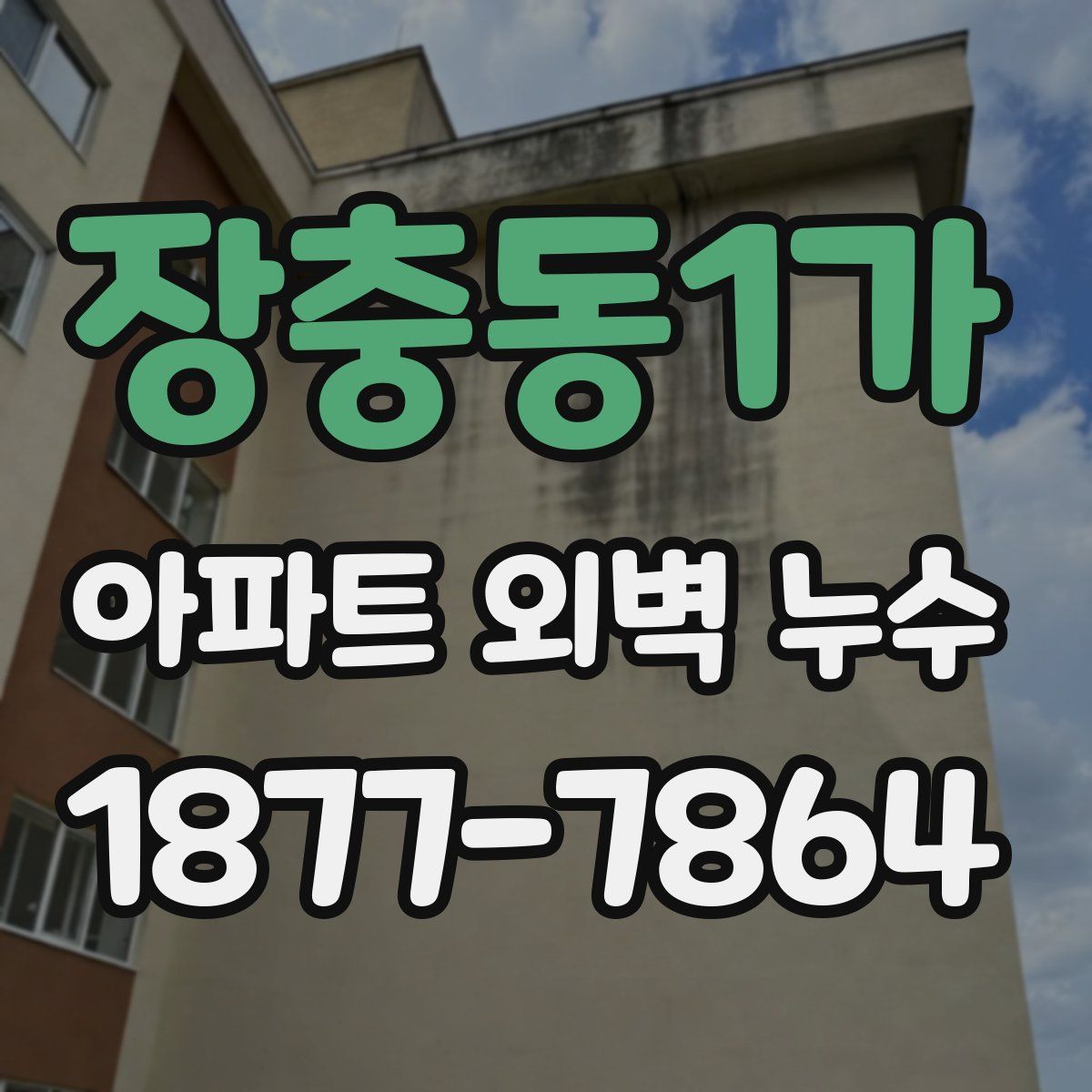 장충동1가 아파트 외벽 누수