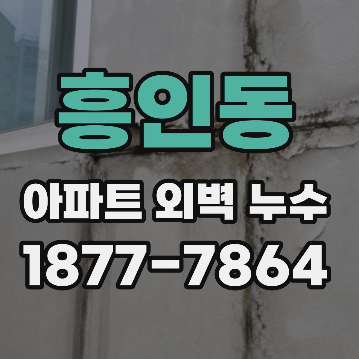흥인동 아파트 외벽 누수