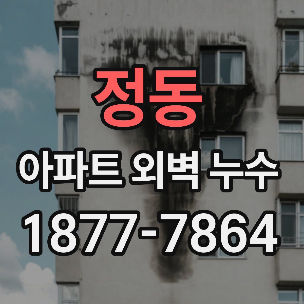 정동 아파트 외벽 누수