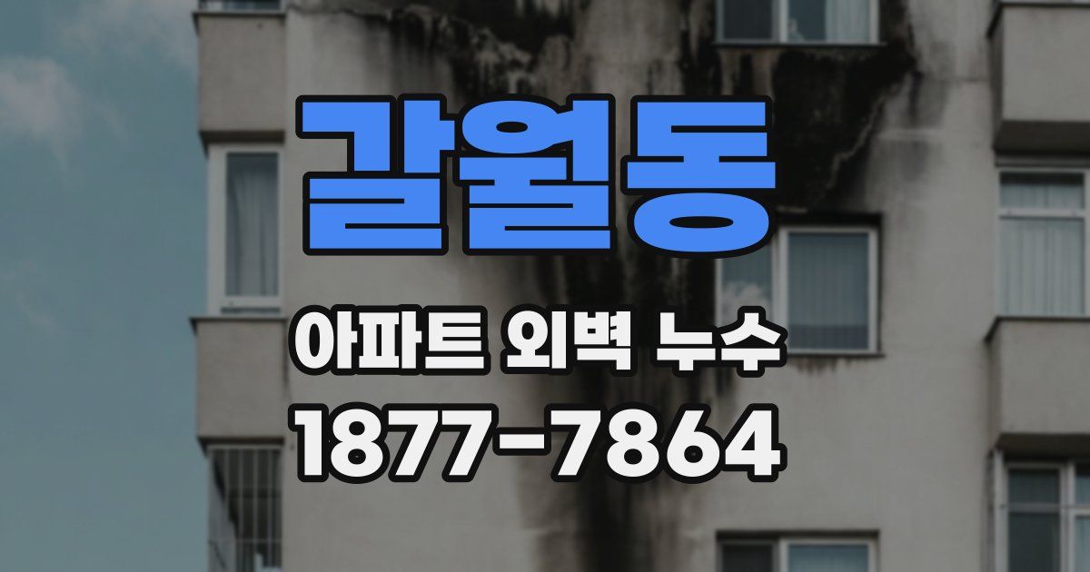 갈월동 아파트 외벽 누수