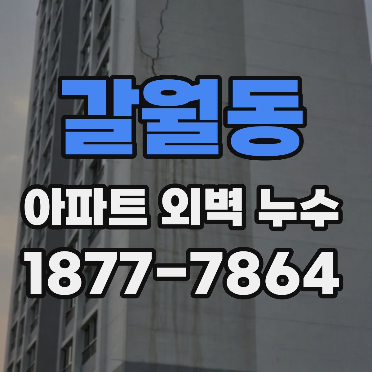 갈월동 아파트 외벽 누수