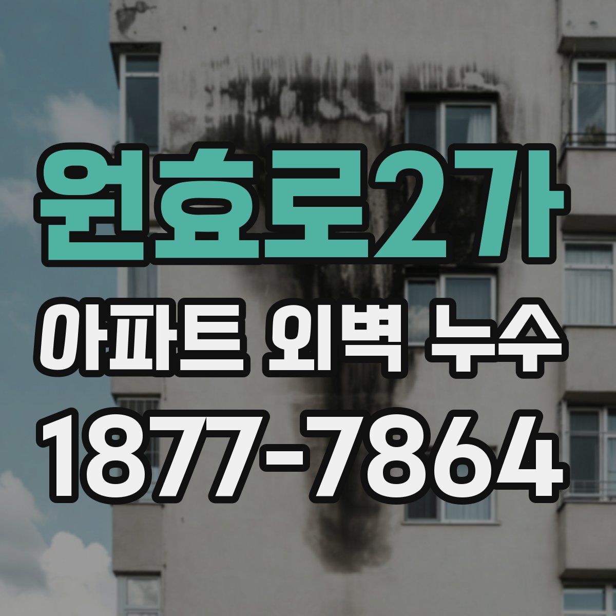 원효로2가 아파트 외벽 누수
