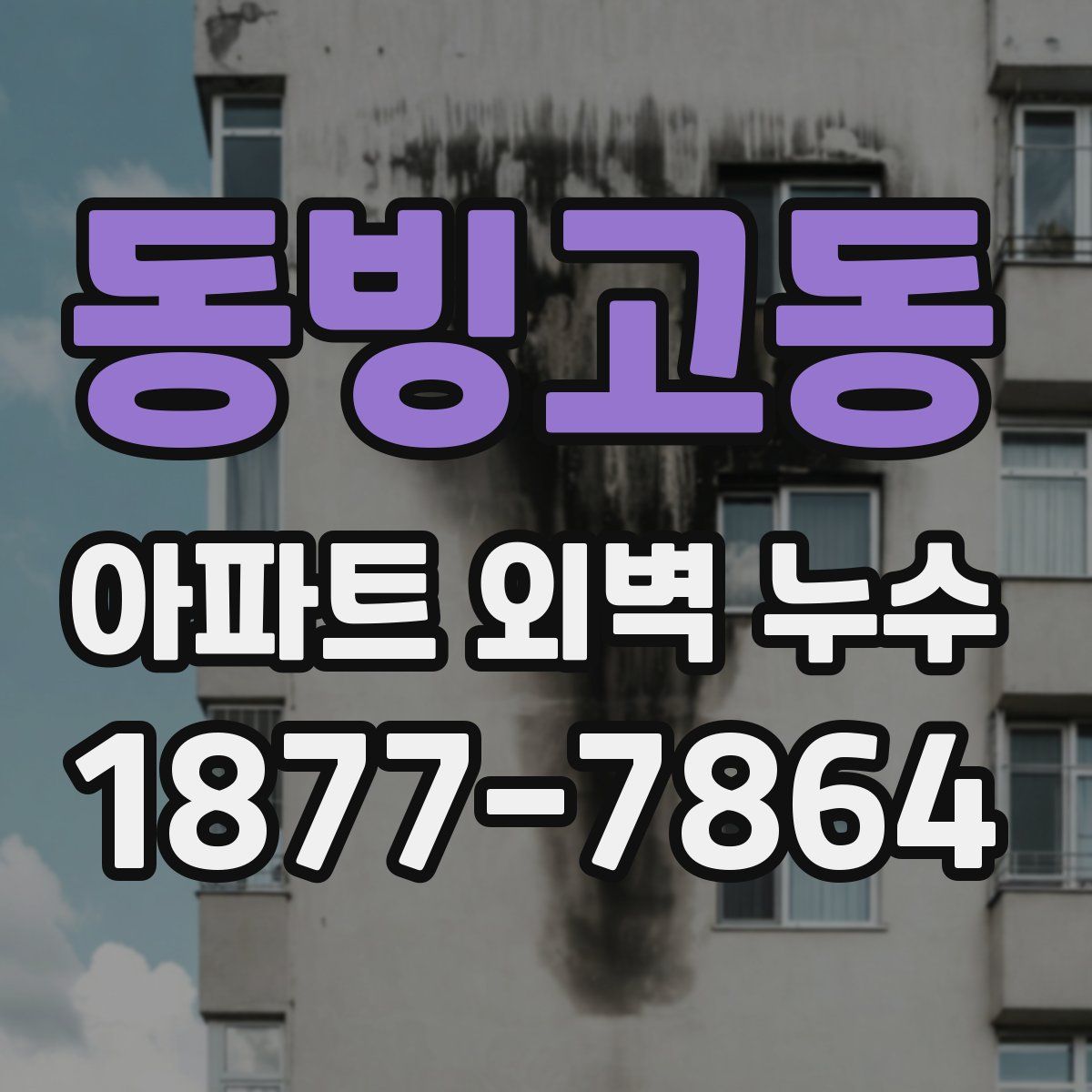 동빙고동 아파트 외벽 누수