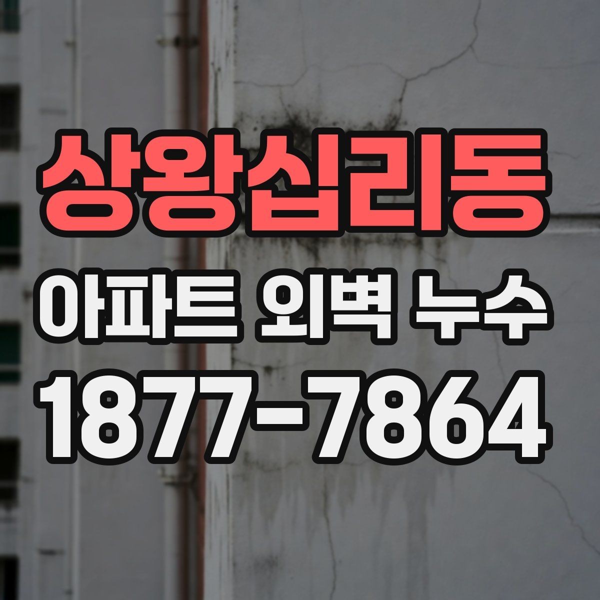 상왕십리동 아파트 외벽 누수 보수 범위를 두고 확인할 쟁점