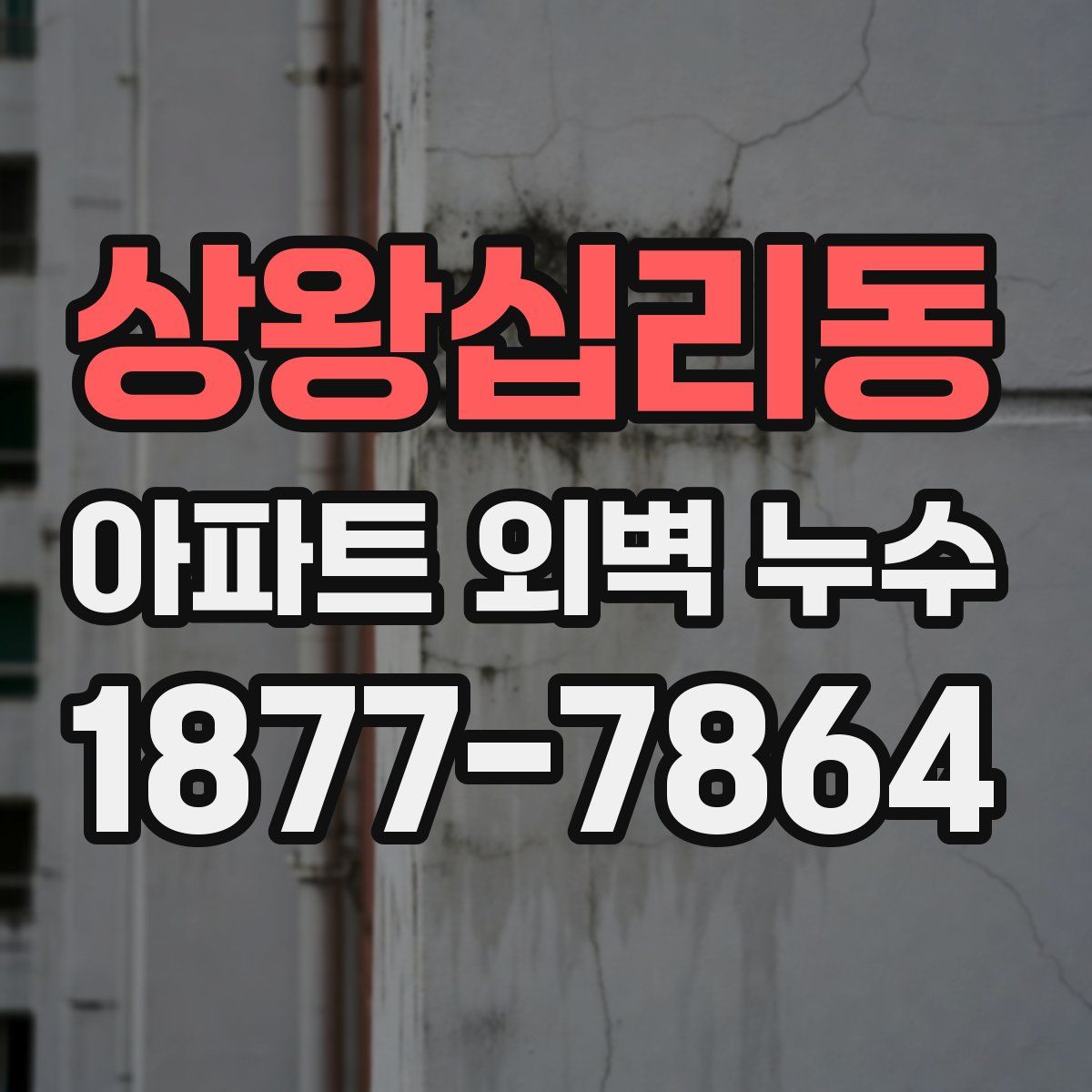 상왕십리동 아파트 외벽 누수