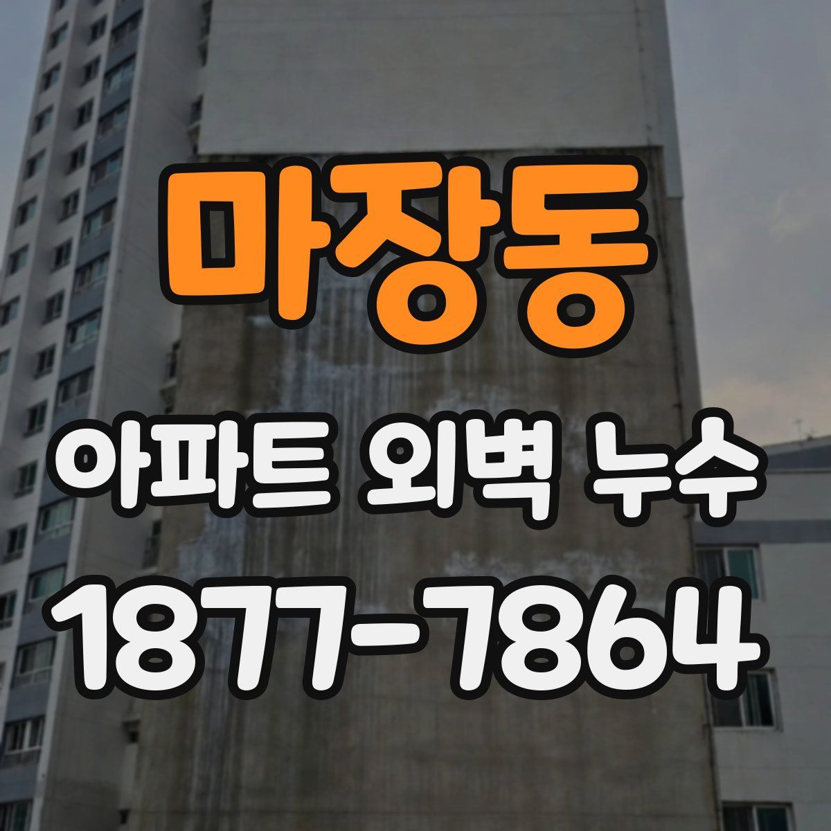 마장동 아파트 외벽 누수
