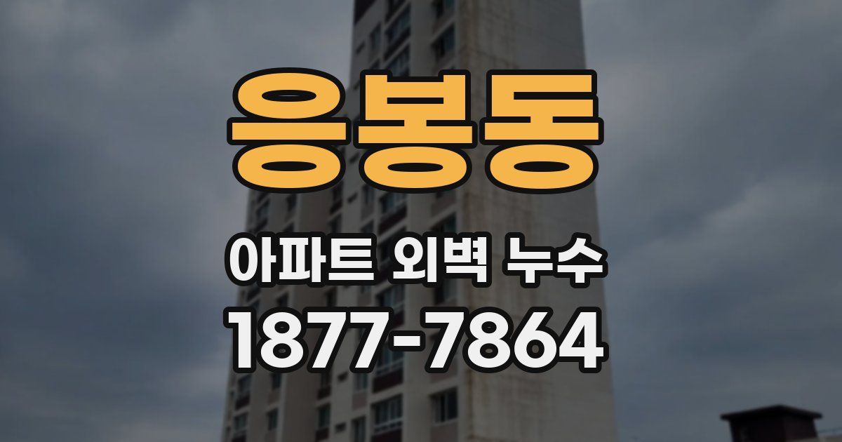 응봉동 아파트 외벽 누수