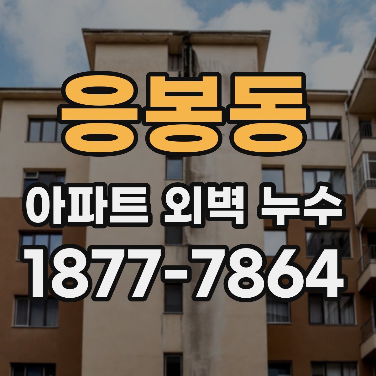 응봉동 아파트 외벽 누수