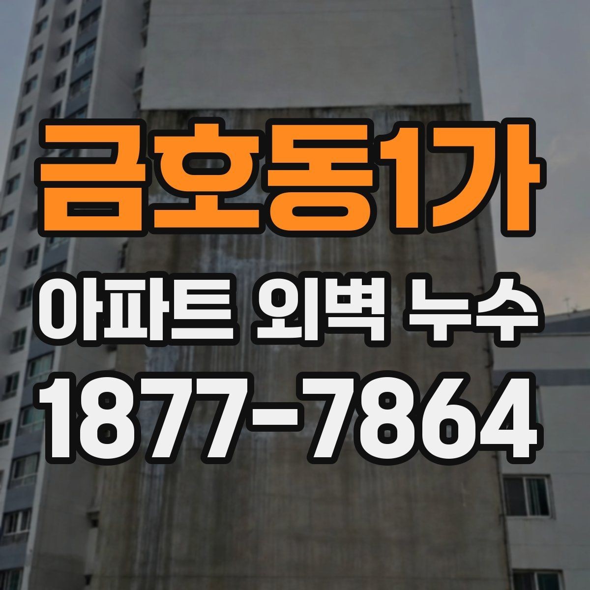 금호동1가 아파트 외벽 누수 보수 견적서에서 확인할 내용