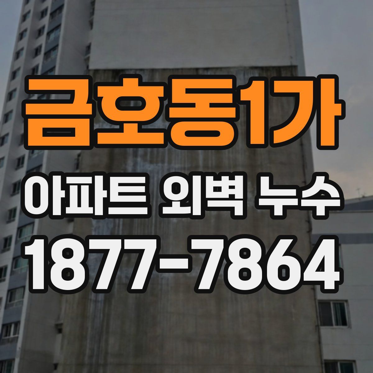 금호동1가 아파트 외벽 누수