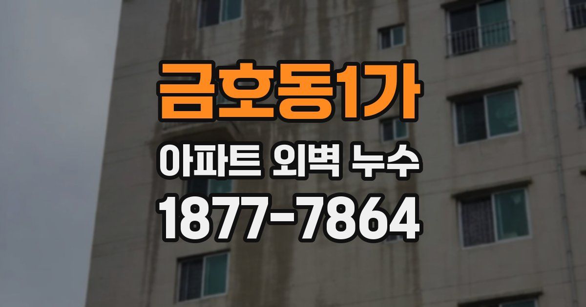 금호동1가 아파트 외벽 누수