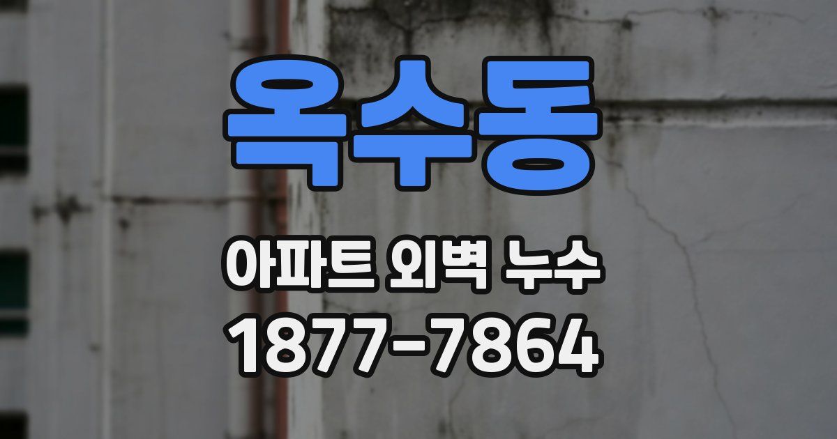 옥수동 아파트 외벽 누수