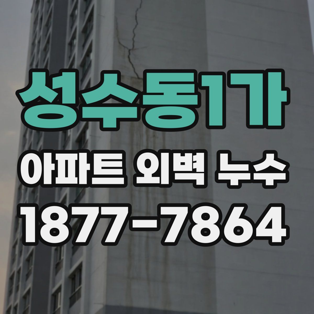 성수동1가 아파트 외벽 누수