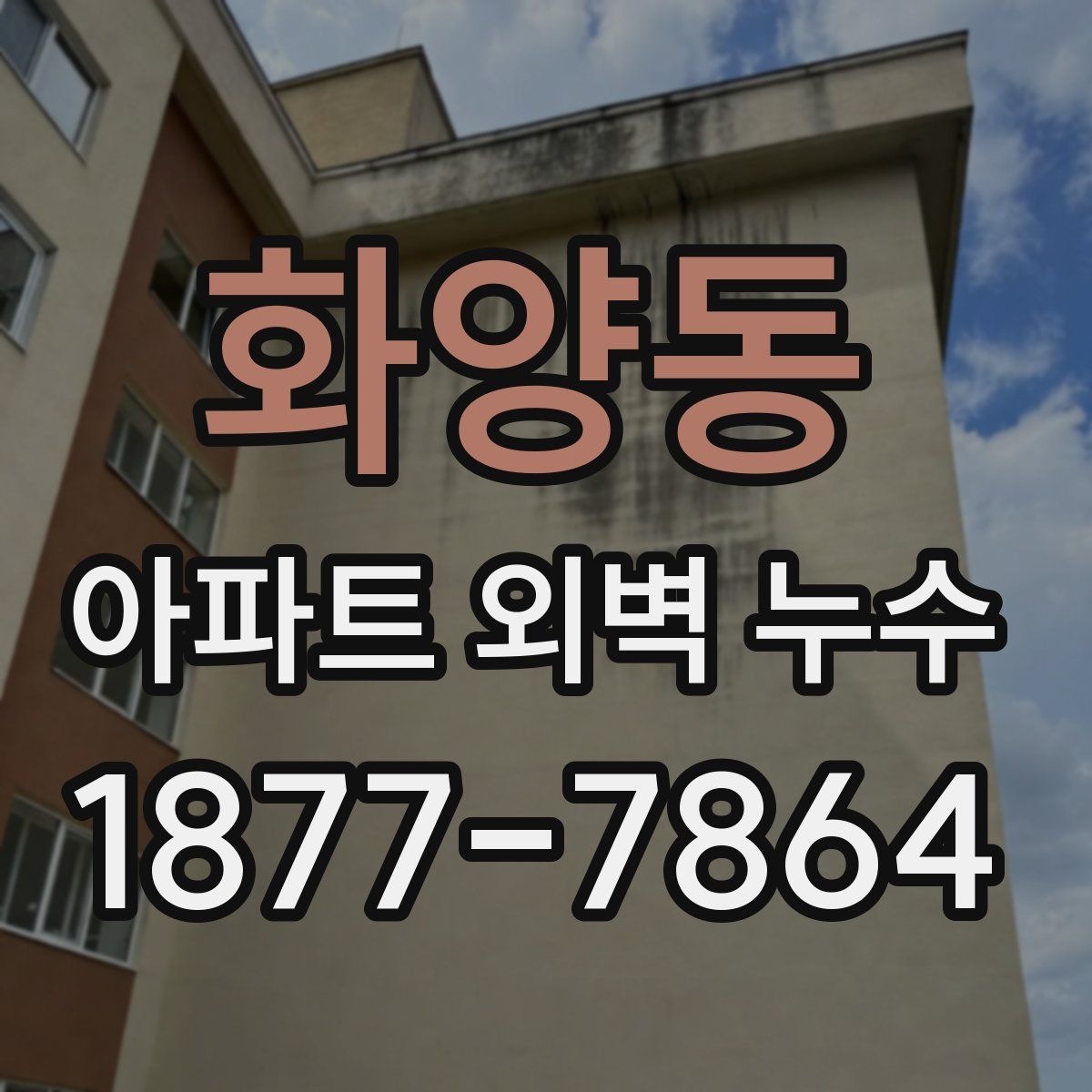 화양동 아파트 외벽 누수