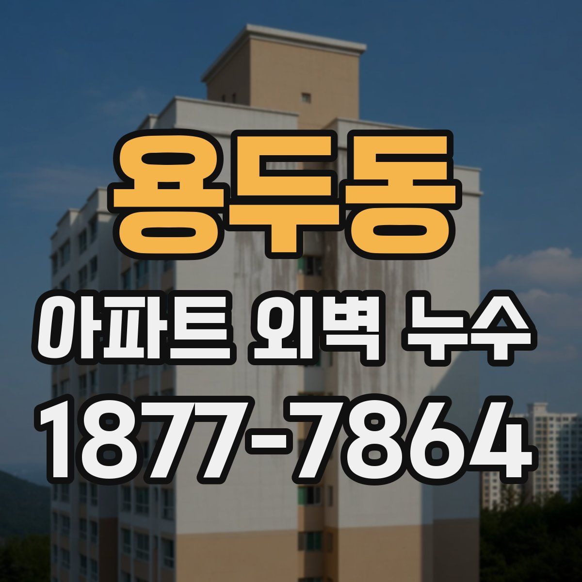 용두동 아파트 외벽 누수