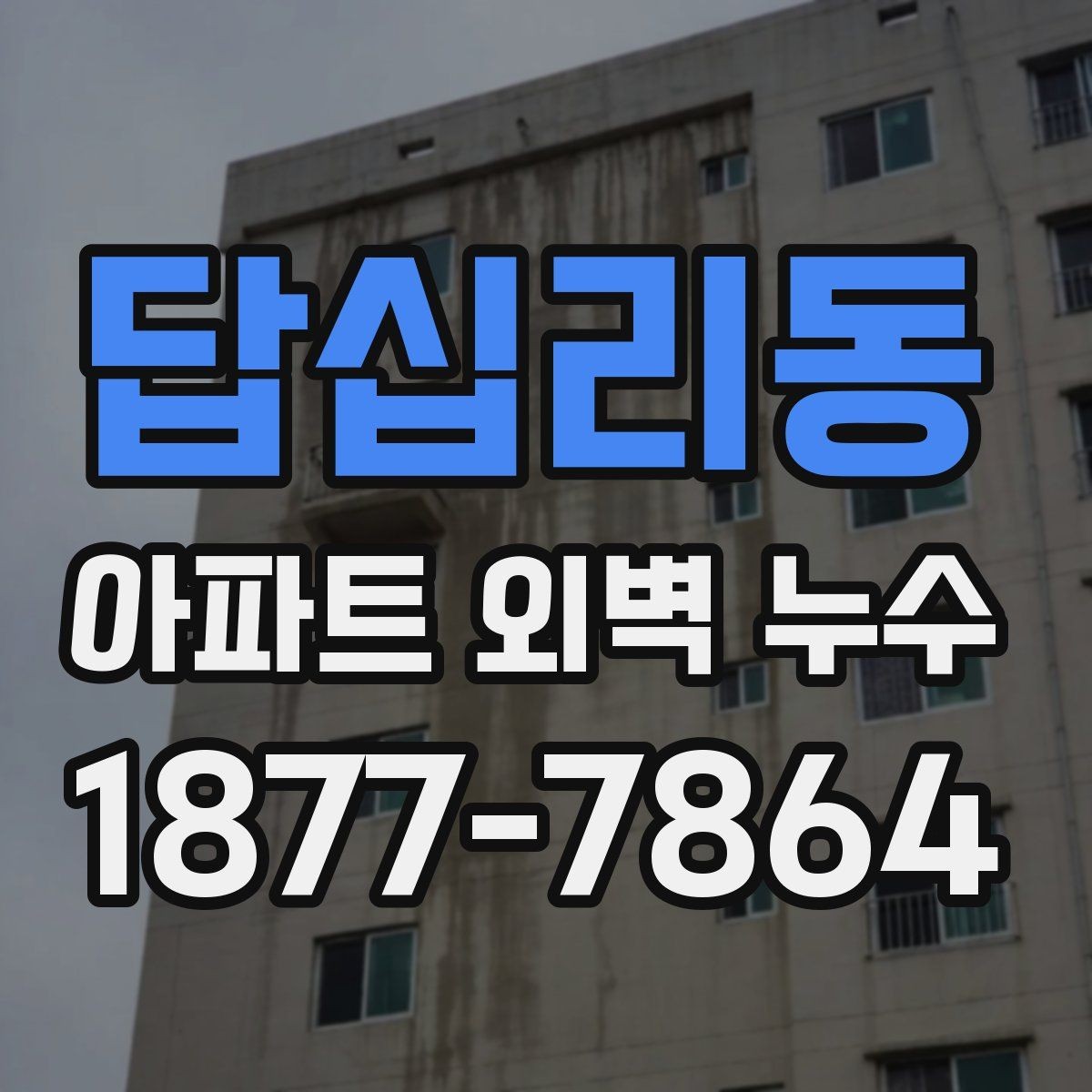 답십리동 아파트 외벽 누수 초기 대응부터 공사까지 한눈에