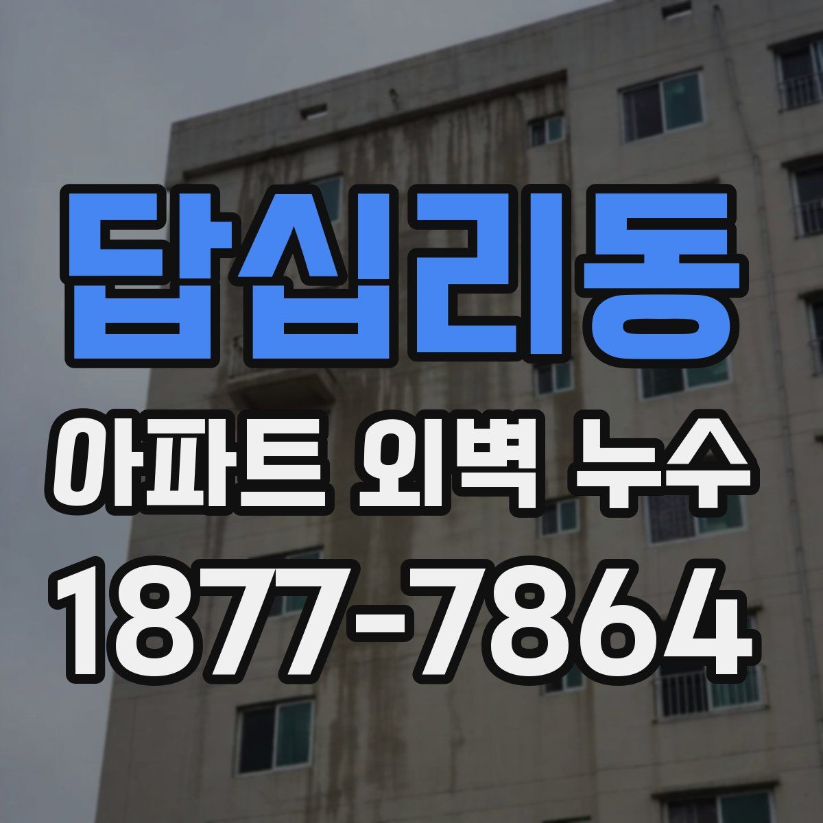 답십리동 아파트 외벽 누수
