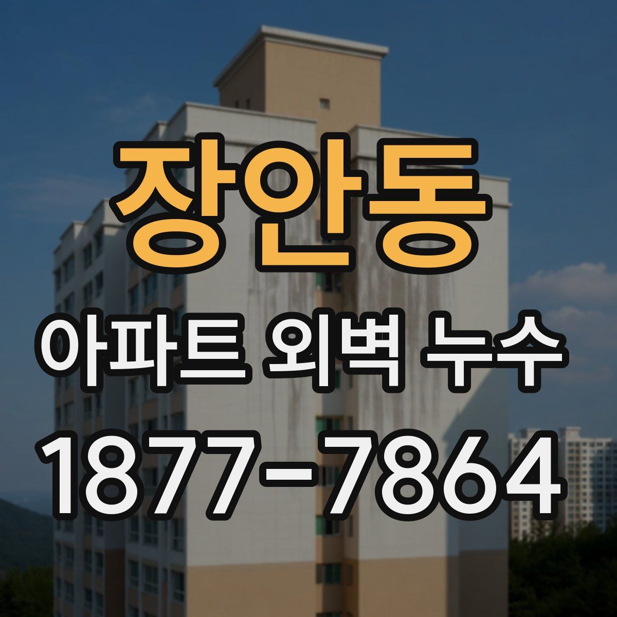 장안동 아파트 외벽 누수