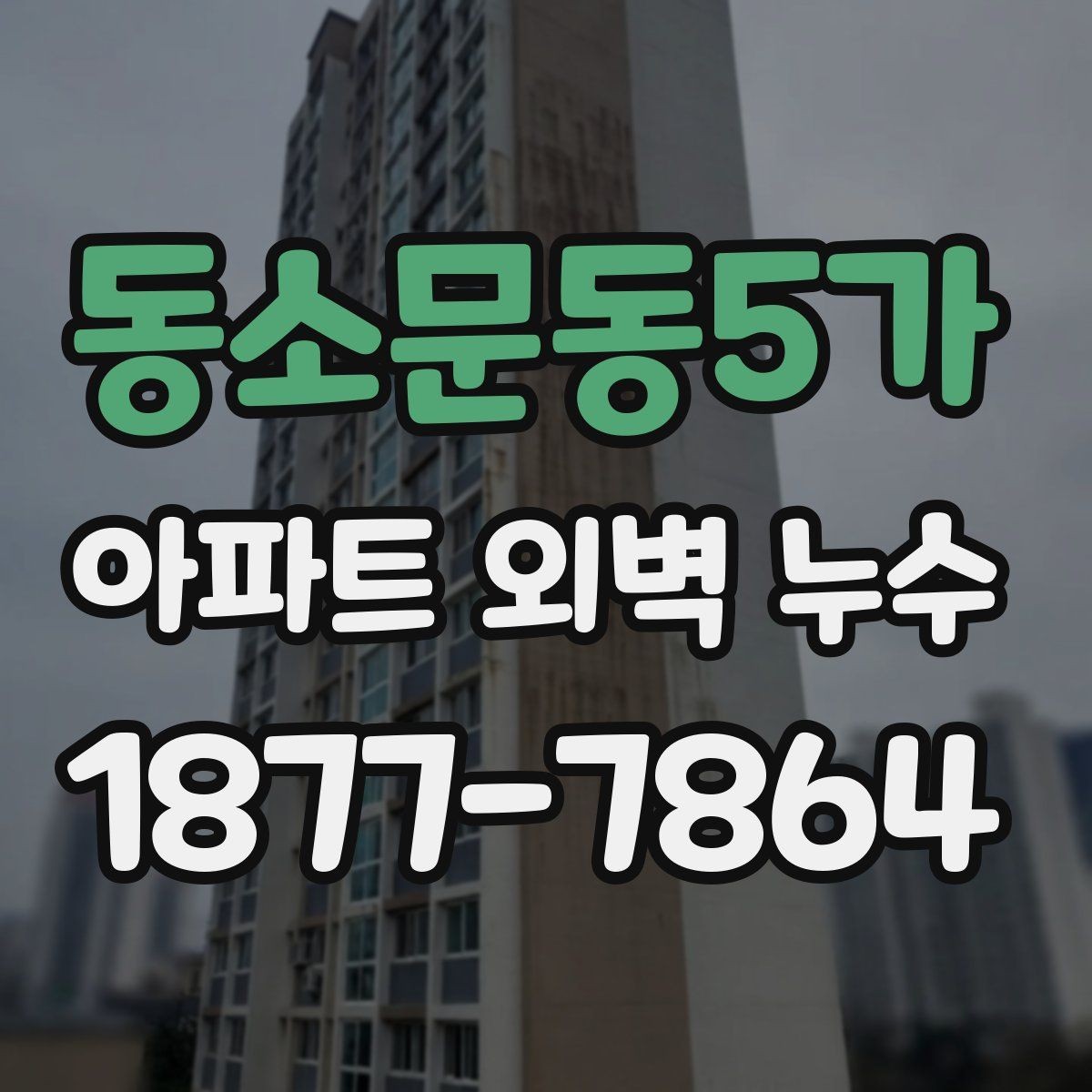 동소문동5가 아파트 외벽 누수 현장 점검에서 놓치기 쉬운 부분
