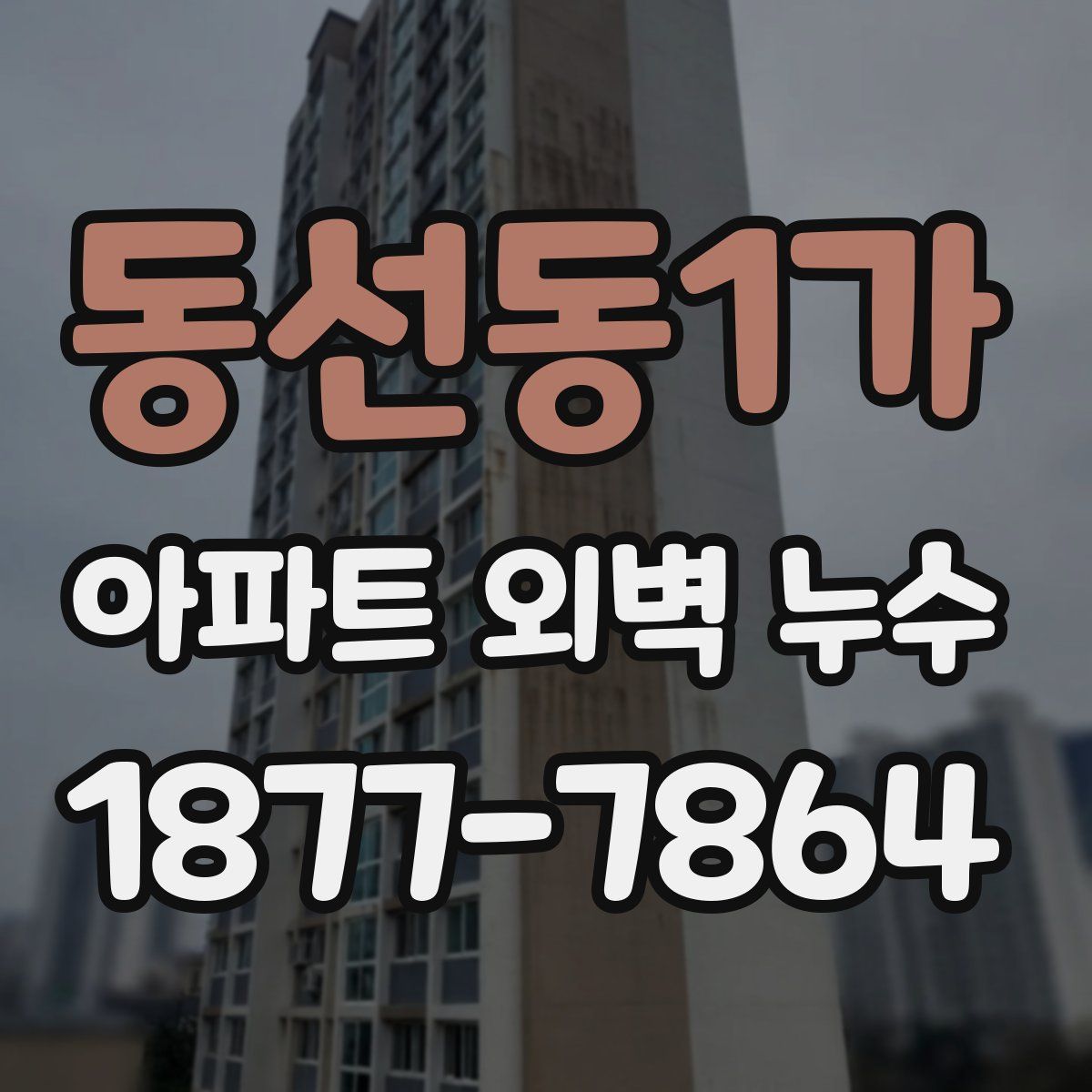 동선동1가 아파트 외벽 누수
