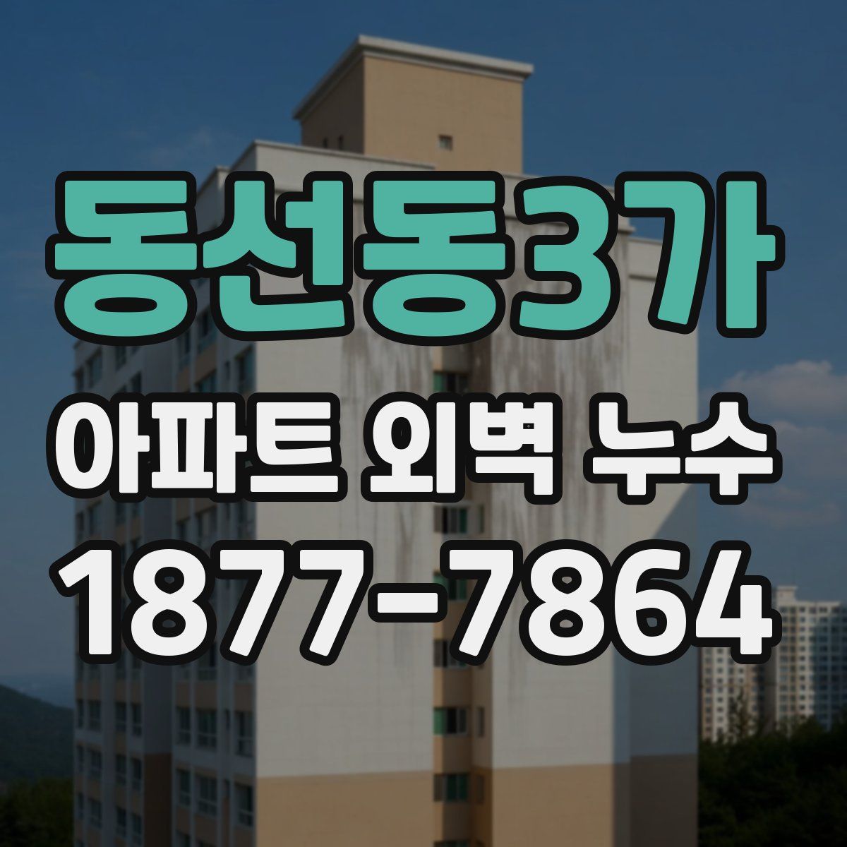 동선동3가 아파트 외벽 누수