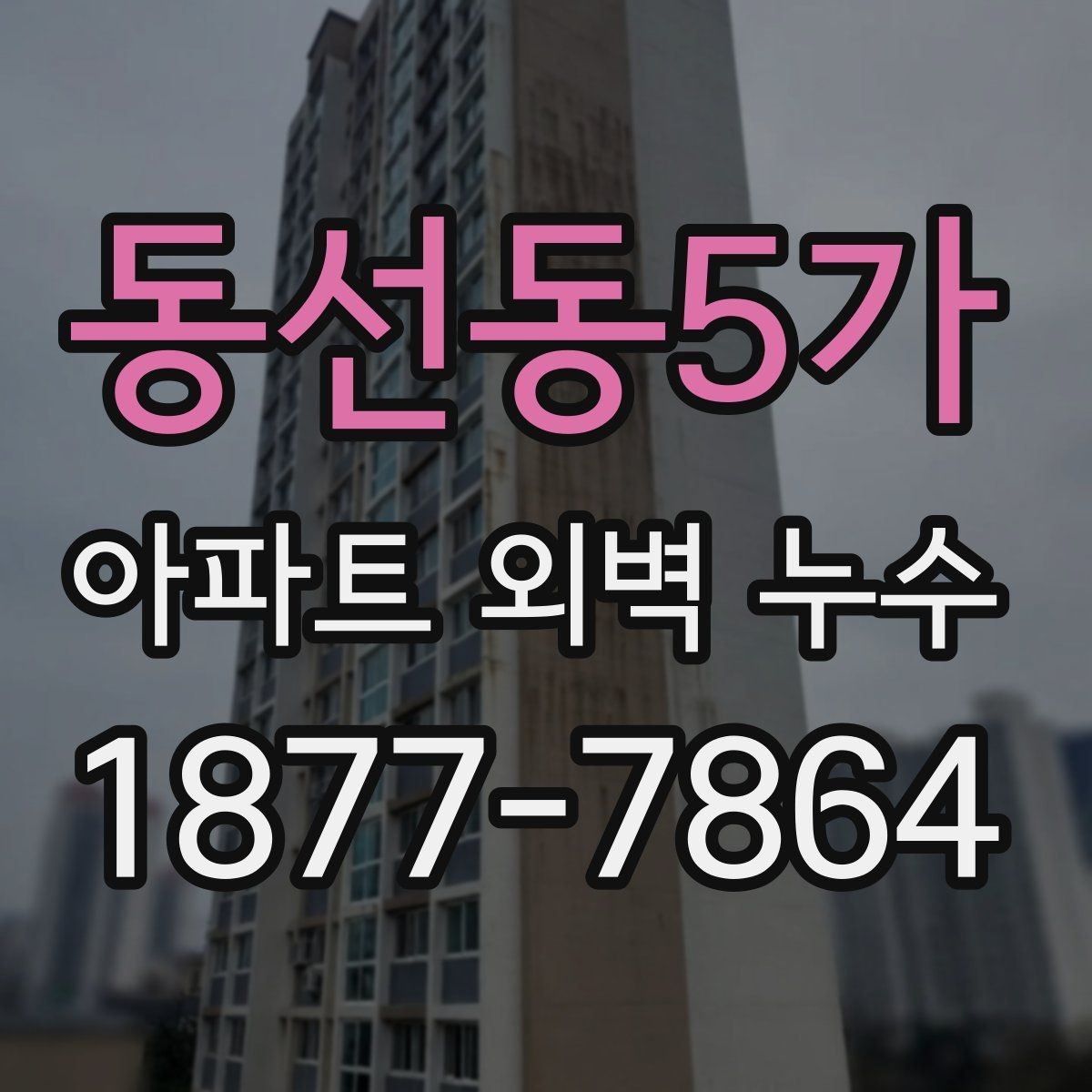 동선동5가 아파트 외벽 누수 해결 전 체크리스트