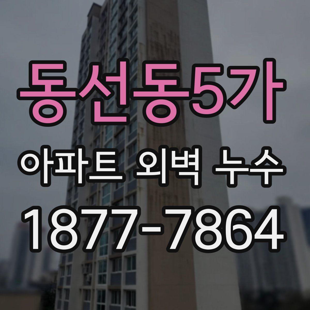 동선동5가 아파트 외벽 누수