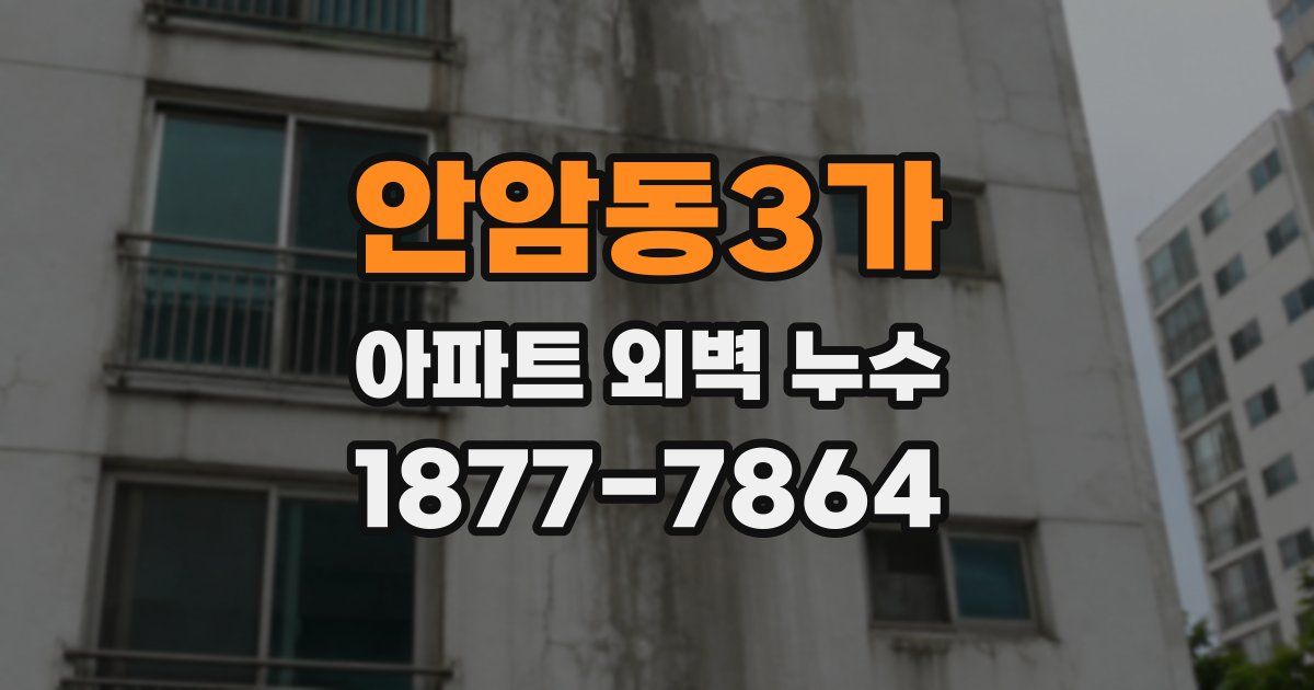 안암동3가 아파트 외벽 누수