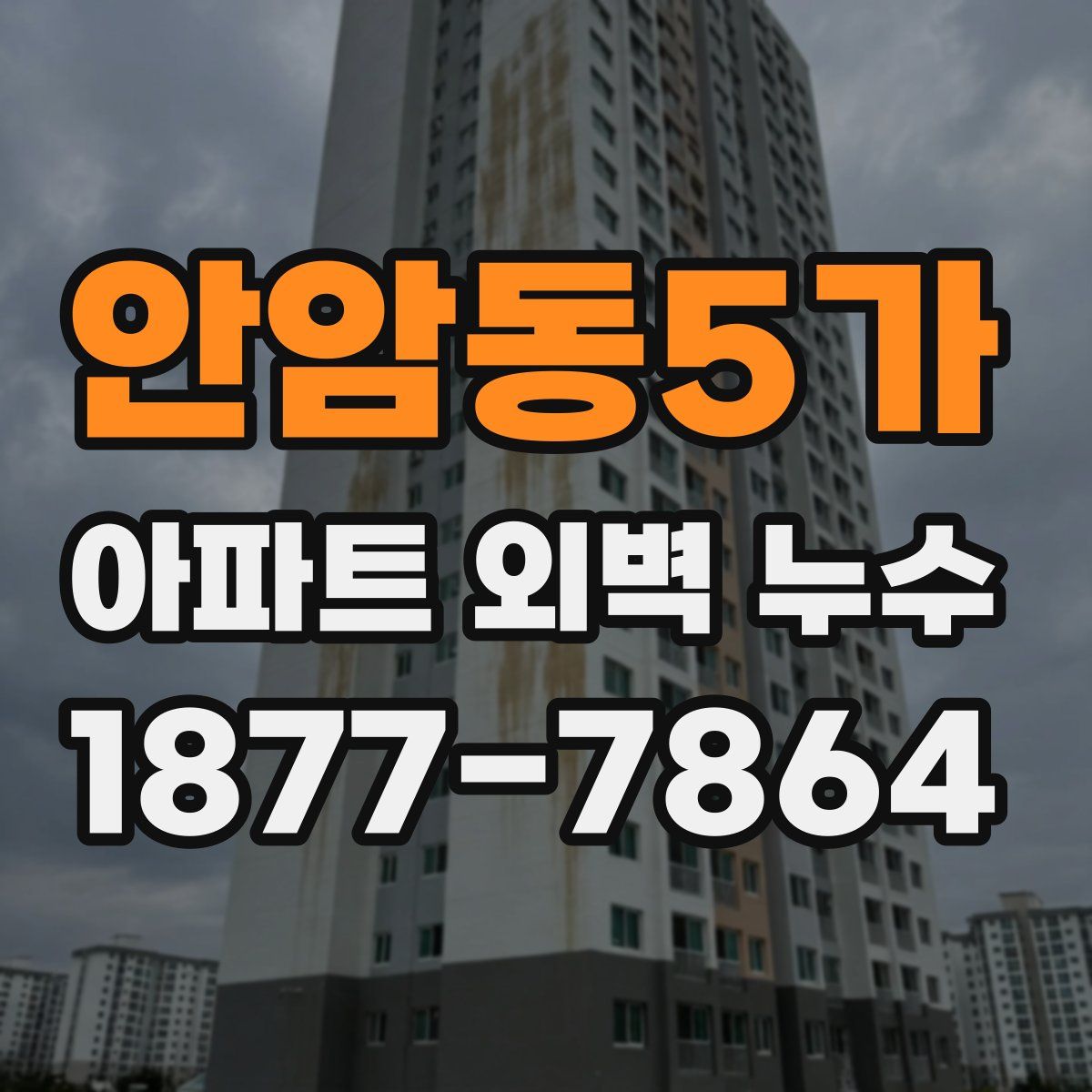 안암동5가 아파트 외벽 누수