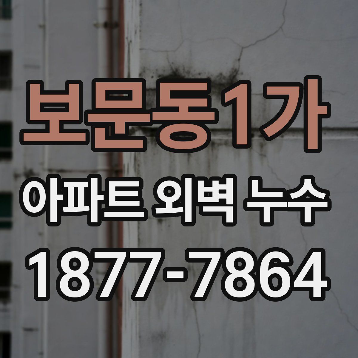 보문동1가 아파트 외벽 누수