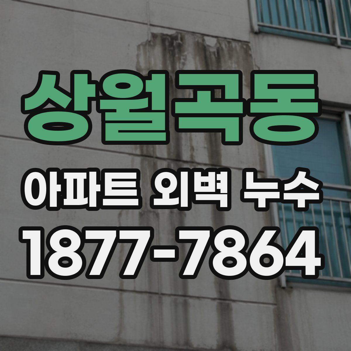 상월곡동 아파트 외벽 누수